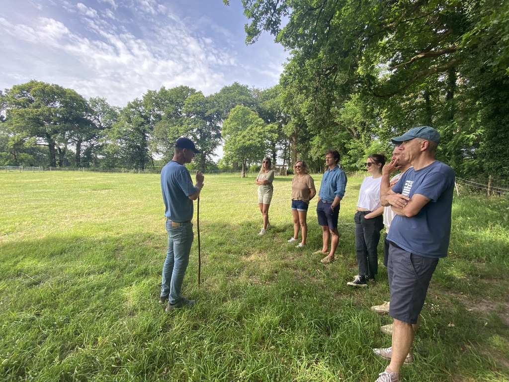 teambuilding dans le pré